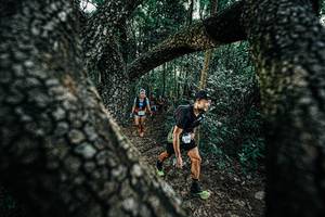 BIB: 
                            <button type="button" onclick="openModal(25391991)" class="btn btn-primary btn-sm float-right btn-popup" data-toggle="modal" data-target=".modal-high-quality">
                        <i class="fas fa-shopping-cart"></i> Add to Cart
                    </button>
                                            <button type="button" onclick="isThisMe(25391991, true)" class="btn btn-success btn-sm float-right btn-popup btn-isme hidden" data-toggle="tooltip" data-placement="bottom" title="นี่คือรูปของคุณใช่ไหม คลิกที่นี่เพื่อเอาเข้าอัลบั้ม">
                        <i class="fas fa-plus"></i> Add to album
                    </button>
                    <button type="button" onclick="isThisMe(25391991, false)" class="btn btn-warning btn-sm float-right btn-popup btn-isnotme hidden">
                        <i class="fas fa-ban"></i> Remove from album
                    </button>